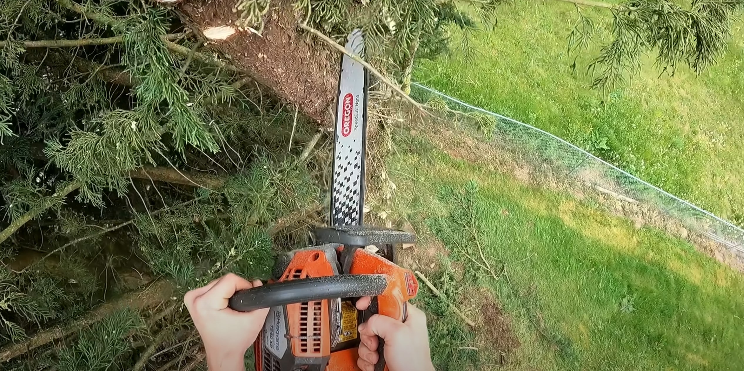 Tree care specialist using professional chainsaw for tree removal