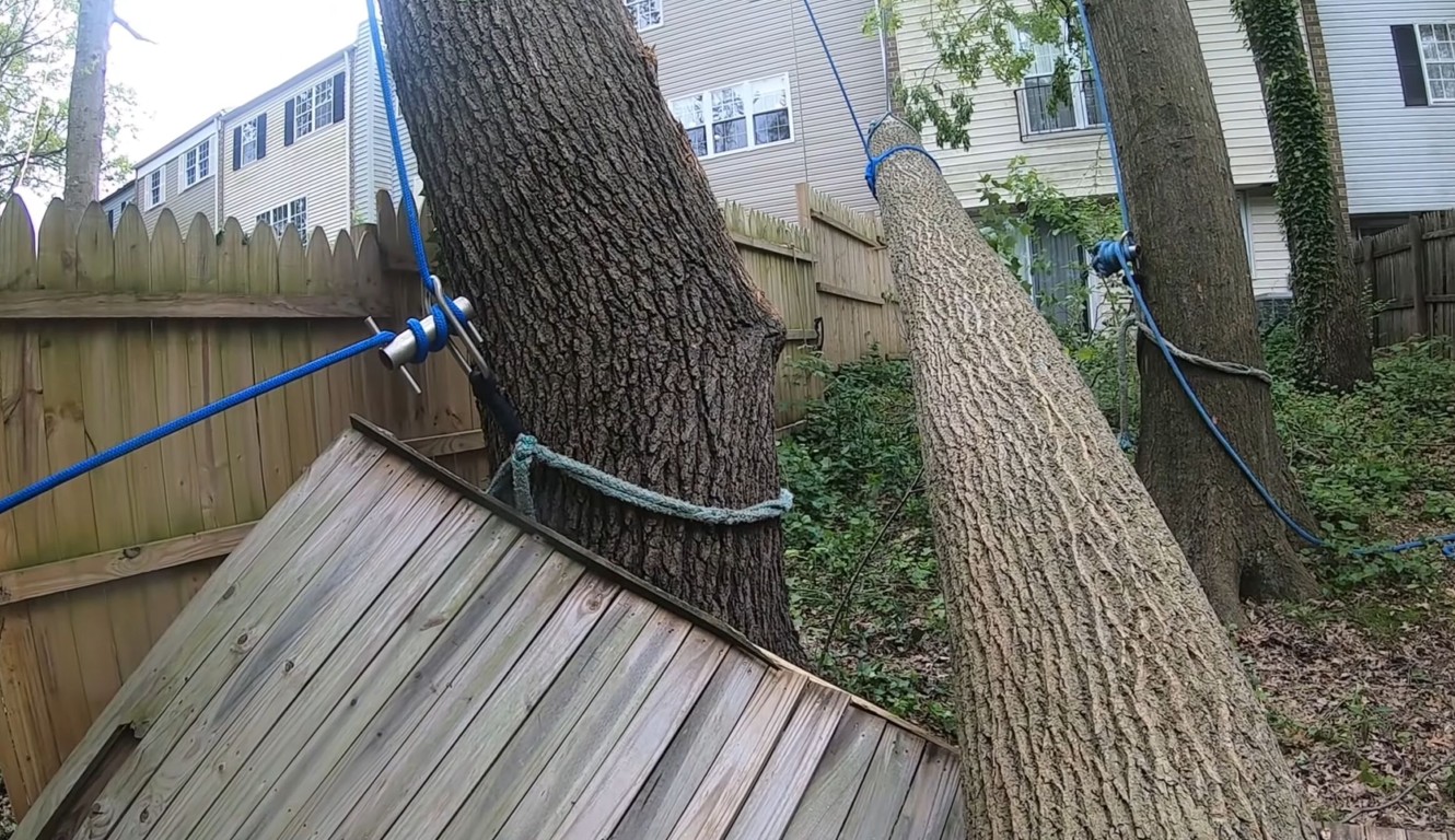 Emergency Tree Removal service in Grand Island, NE
